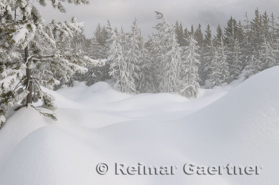 192 Geyser Snow 2.jpg