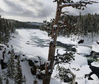 192 Yellowstone River P.jpg