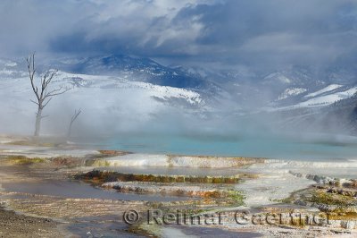 193 Mammoth Hot Springs 9.jpg