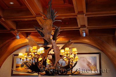 196 Moose Antler chandelier.jpg