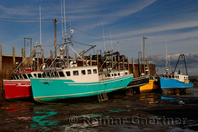Colorful boats on the Bay of Fundy ocean floor at low tide on the wharf at Alma New Brunswick