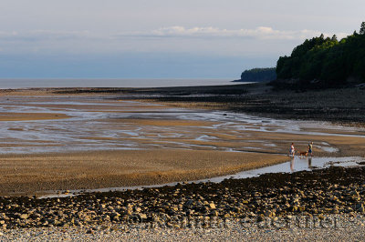 Couple with dog coming in with tide on the Bay of Fundy shores at Alma New Brunswick