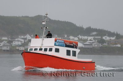 Tour boat operator leaving Twillingate harbour in early morning fog Newfoundland