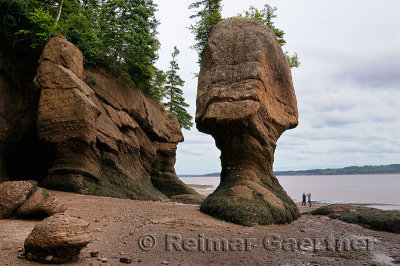 Two tourists looking at Mother in law flower pot sea stack at Hopewell Rocks Bay of Fundy