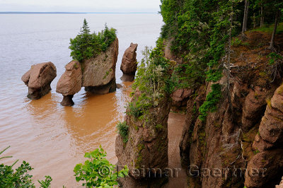 Flower Pot sea stacks with incoming tide at Hopewell Rocks Bay of Fundy New Brunswick