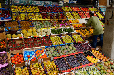 Fruitstand shopkeeper working in the Casablanca market