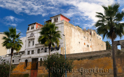 Outer wall of the Old Medina in Casablanca with Palm trees and Oleander