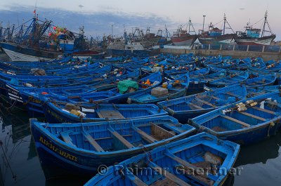 Sea of blue boats at early dawn in the marine port of Essaouira Morocco