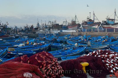 Blue fishing boats and red nets at early dawn in the marine port of Essaouira Morocco