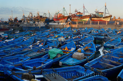 Sea of blue boats at sunrise in the marine port of Essaouira Morocco