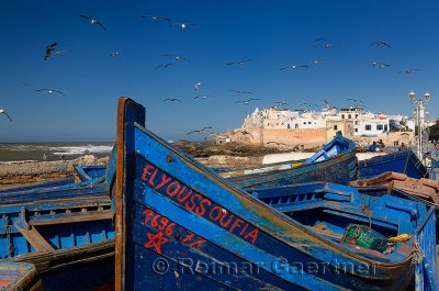 Blue fishing boats and seagulls with ramparts of Essaouira Morocco