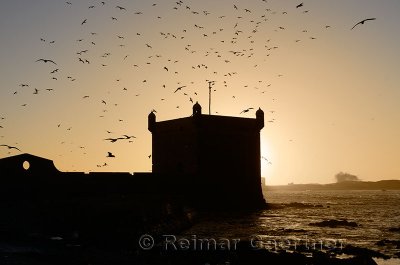 Sepia toned silhouette of Sqala du Port Seagulls and Atlantic ocean surf at Essaouira Morocco