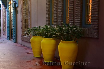 Three bright yellow planters in a red alley at Majorelle Garden Marrakech Morocco