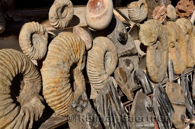 Ammonites and other fossils in the souk of Marrakech Morocco
