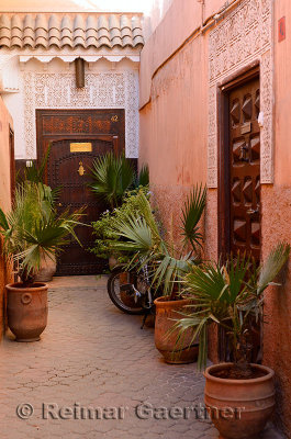 Red ochre alleyway with doors and palm planters in the Souk of Marrakech Morocco