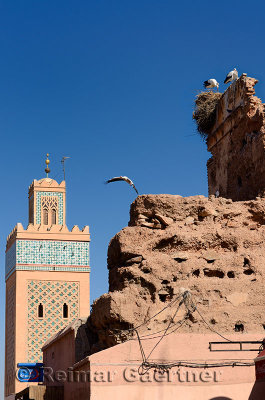 Minaret of Kasbah Mosque with flying and nesting White Storks in Medina ruin of Marrakech