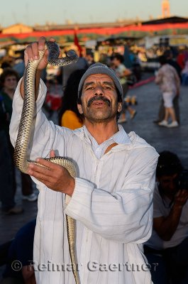 Snake charmer holding up a poisonous serpent in Place Djemaa el Fna square in Marrakech Morocco