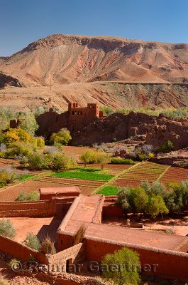 Red soil of Kasbah ruins and cultivated fields in Dades Gorge Morocco