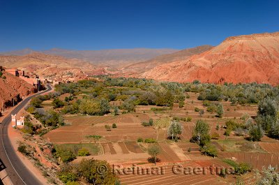 Farm fields along the Dades Gorge road in the High Atlas mountains Morocco