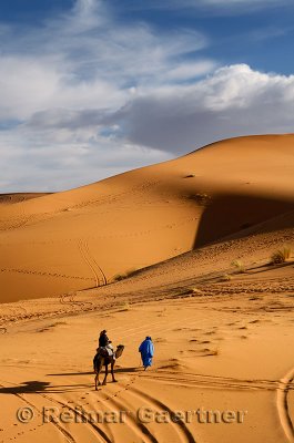 Tuareg Berber man leading a tourist on camel through the Erg Chebbi desert in Morocco