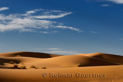 Evening light on Erg Chebbi desert sand dunes Morocco