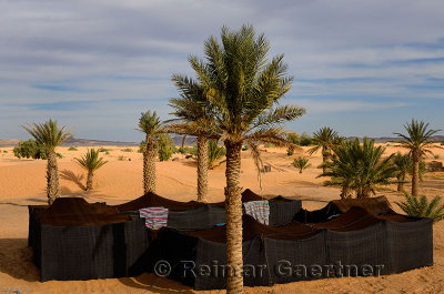 Berber tents and palm trees in sand at the edge of the desert in Khemlia Morocco