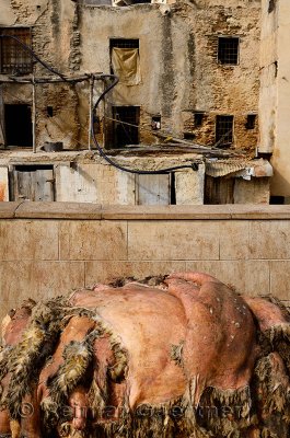 Raw sheep hides stacked up for processing in the tannery of Fes Morocco Chouara quarter