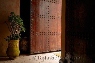 Jade tree in a yellow pot by the doorway in the Oudaia Kasbah Rabat Morocco