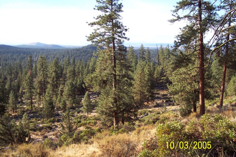 100_1327.JPG