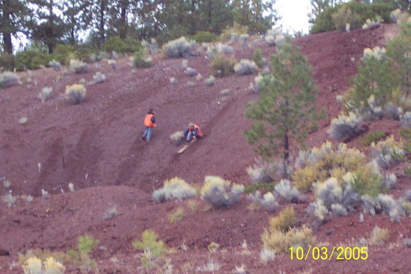 100_1353.JPG