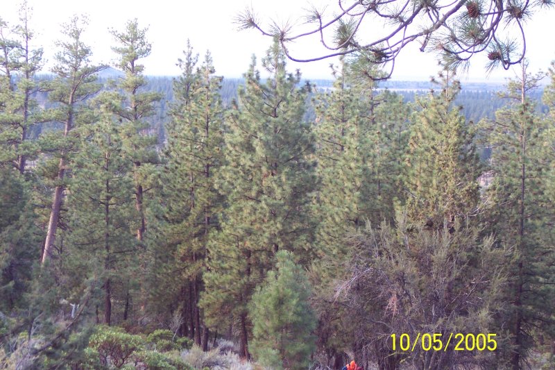 100_1476.JPG