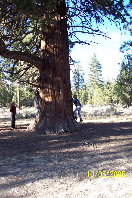 100_1499.JPG