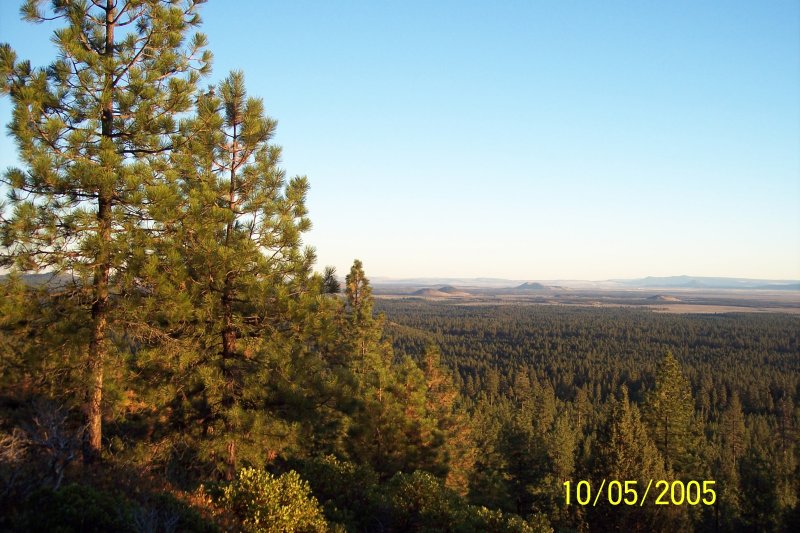 100_1502.JPG