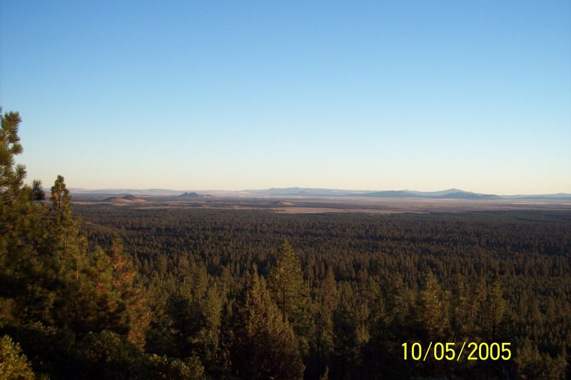 100_1503.JPG