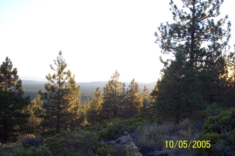100_1507.JPG