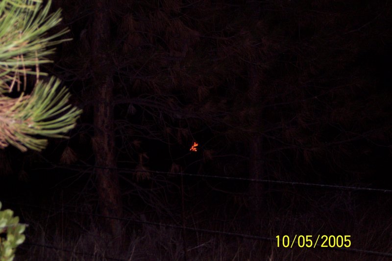 100_1522.JPG