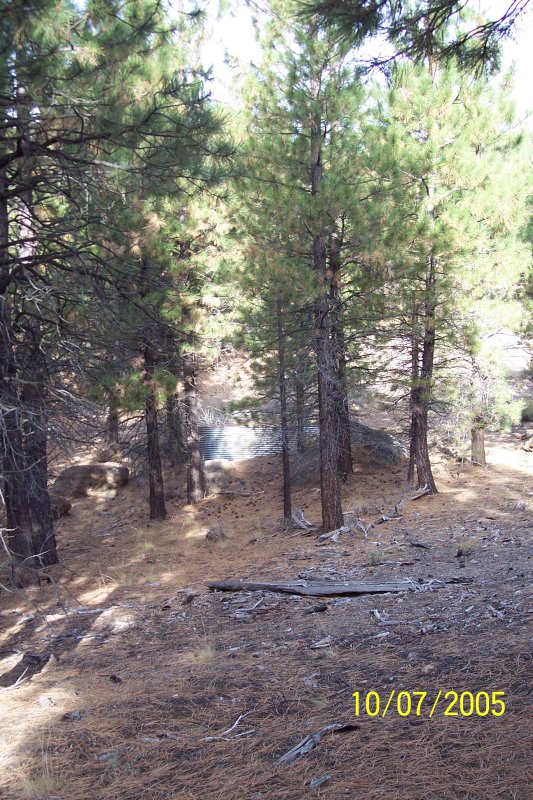 100_1531.JPG