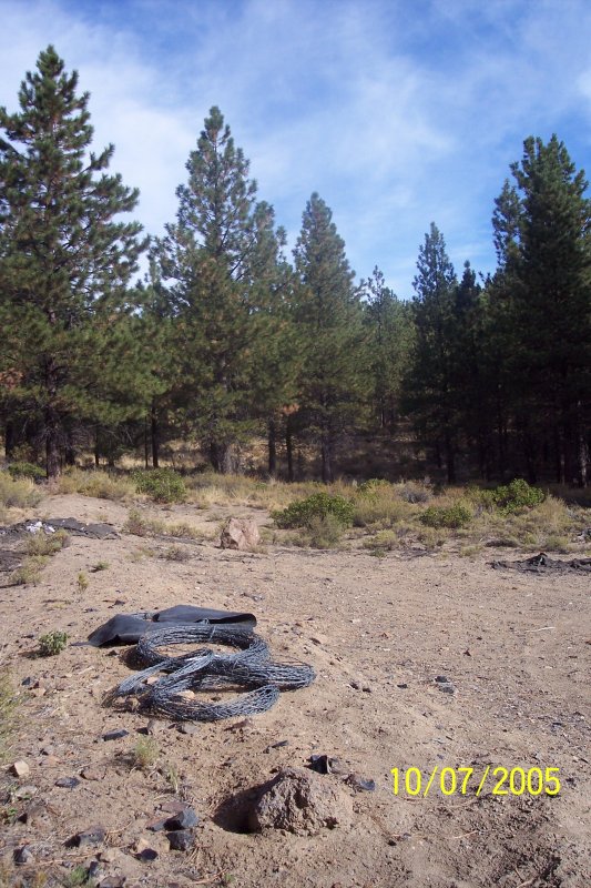 100_1539.JPG