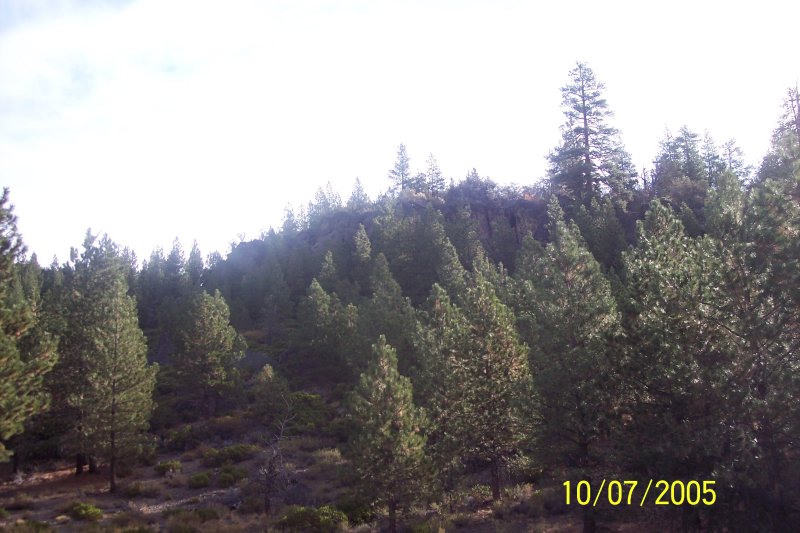 100_1540.JPG