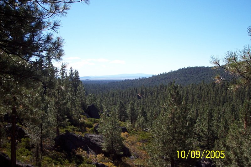 100_1567.JPG