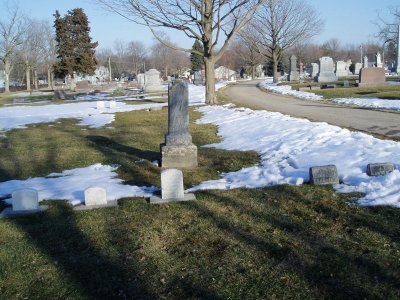 BrunsonPeterOrlandoFamilyGrave.jpg