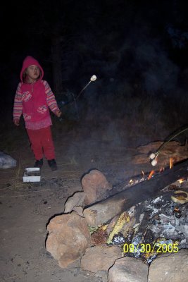 100_1163.JPG