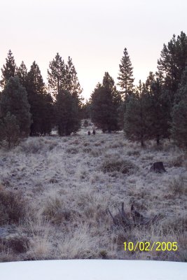 100_1199.JPG