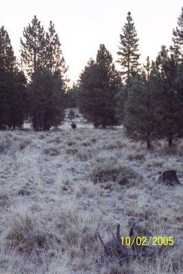 100_1201.JPG