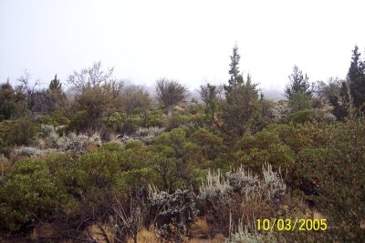 100_1338.JPG
