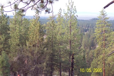 100_1477.JPG