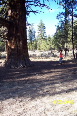 100_1497.JPG