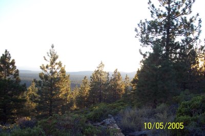 100_1507.JPG