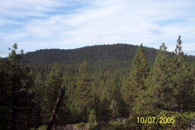 100_1528.JPG