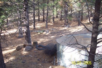 100_1535.JPG